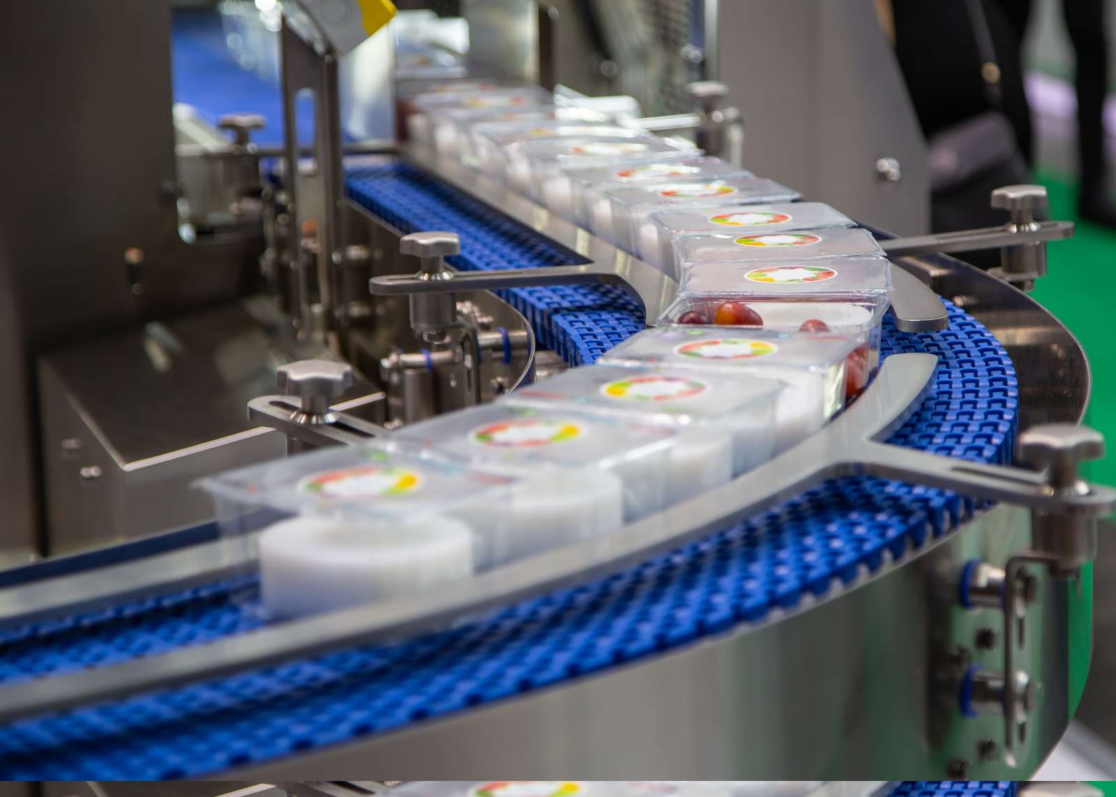 Food Safety Audit 