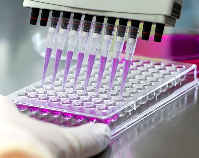 الأبحاث والاختبارات ما قبل السريرية الأبحاث والاختبارات ما قبل السريرية