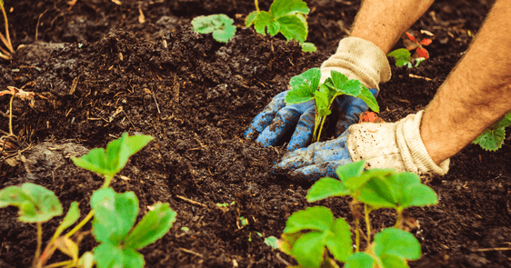Agropecuária Regenerativa: O próximo diferencial competitivo do agro brasileiro Agropecuária Regenerativa: O próximo diferencial competitivo do agro brasileiro