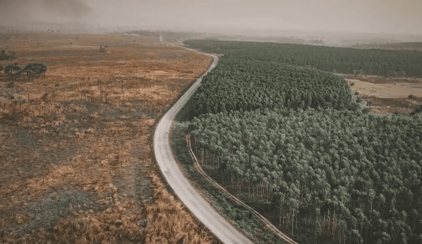 EUDR 最新动态解析与合规实操研讨会
