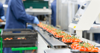 Changes to the audit protocol Changes to the audit protocol